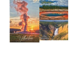 Lunch Money Yellowstone National Park Postcard Pack of 3 Postcards Featuring the Lower Falls of the Grand Canyon, the Fountain Paint Pot, and Old Faithful