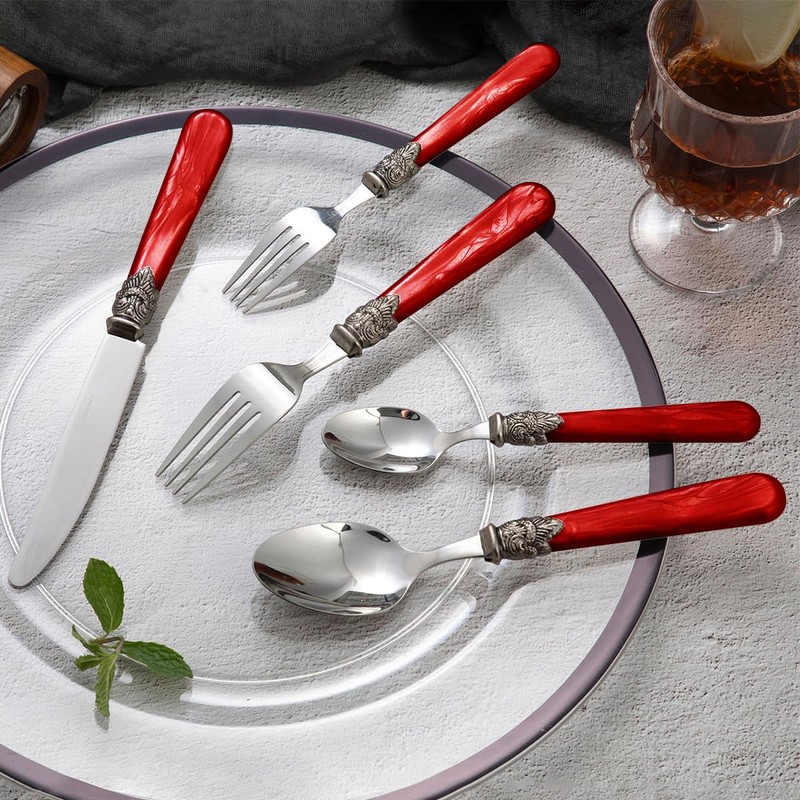CATHYLIN 20 pieces 18/10 Stainless Steel Silverware Sets With Red