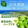 国産有機原料使用のシカ（ツボクサ・ゴツコラ）とモリンガのサプリメント 粉末カプセル 90粒 ※約2ヶ月分 国産・農薬不使用 離島のハーブ園 しまのだいち