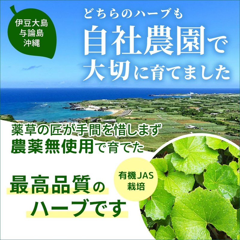 国産有機原料使用のシカ（ツボクサ・ゴツコラ）とモリンガのサプリメント 粉末カプセル 90粒 ※約2ヶ月分 国産・農薬不使用 離島のハーブ園 しまのだいち