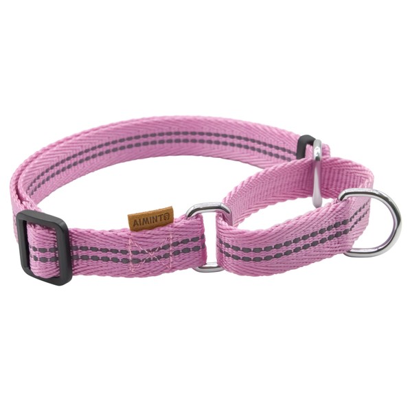 Aiminto Adjustable Nylon Reflective Martingale Dog Collar for Training and