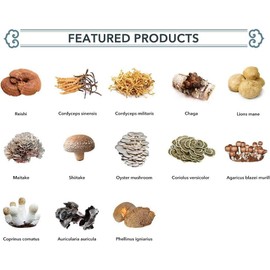 WonderLand Herbs Hericium erinaceus/Monkey Head [ Lion's Mane ] Mushroom Extract Powder 100 g., ≥50% N-glycans