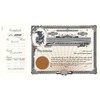 Goes 5 Corporation Stock Certificate | Pack of 100