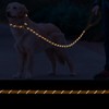 Slip Lead 6 FT for Small and Medium Dogs,Puppy Dog