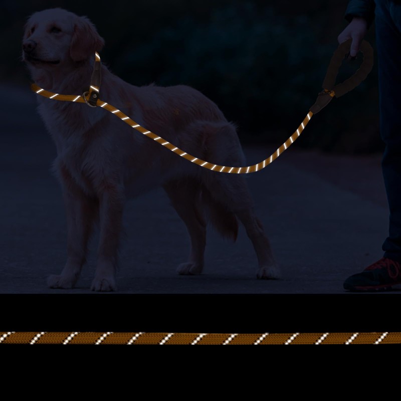 Slip Lead 6 FT for Small and Medium Dogs,Puppy Dog