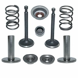 PHUOC LOC THO for Intake Exhaust Valve Retainer Spring Stem Seal Kit for Honda GX160 GX200 Engine