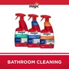 Magic Stainless Steel Cleaner Aerosol - 17 Ounce (6 Pack)