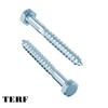 TERF® M8 X 75mm Coach Screws Hex Head M8 (8mm)