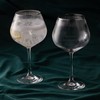 Gatsby Copa Gin & Tonic Pair