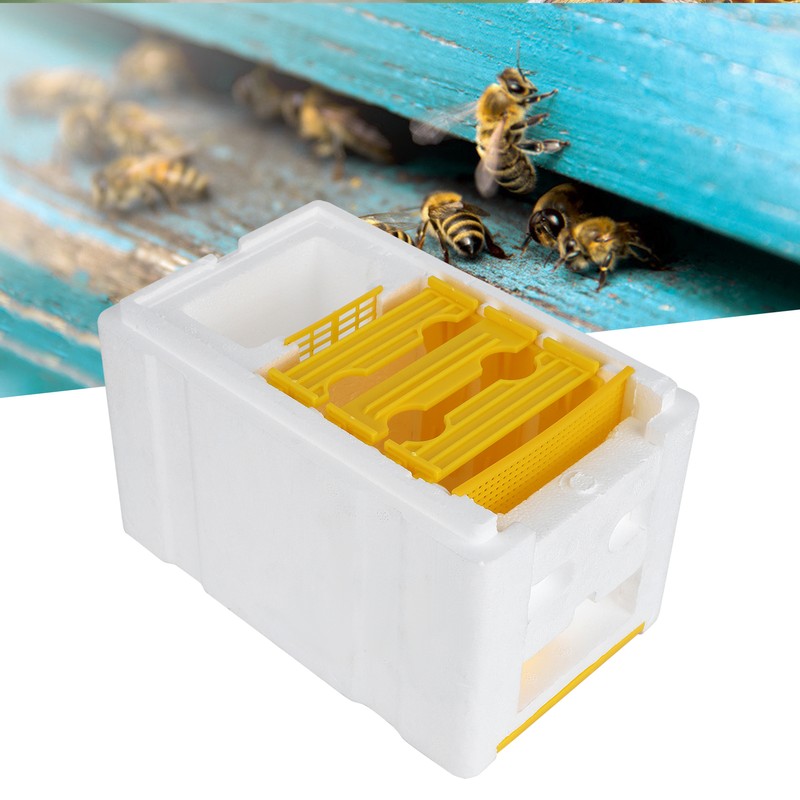 Queen Bee Mating Box Foam Breeding Rearing Copulation Accessory Beekeeping