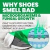 Uncle Todd's Shoe Deodorizer Spray - Proven & Powerful Enzyme
