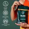 Primal Harvest Collagen Powder Hydrolysed Collagen Powder Type I &