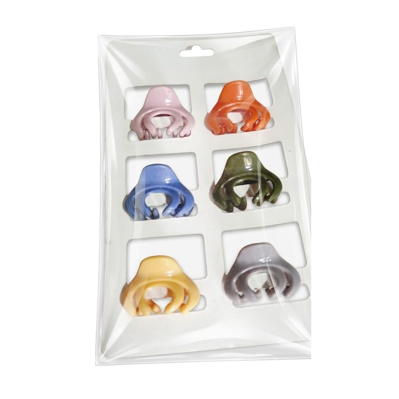Set de 6 Pinzas de Cabello Multicolor