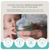 Mason Bottle Flexible Flow Nipples (6+ Months) – Silicone Baby