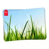 'Table Set I – Spring Placemats Grass Blue Sky With