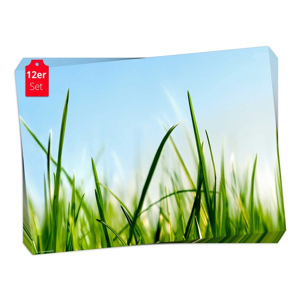 'Table Set I – Spring Placemats Grass Blue Sky With