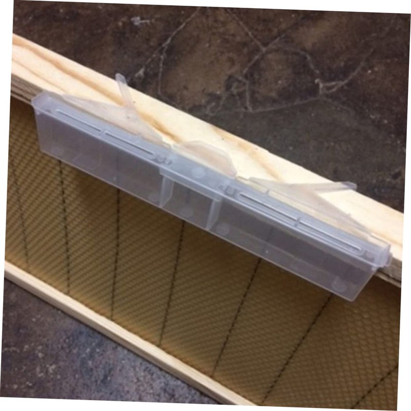 BESPORTBLE 10pcs Beetle Traps for Beekeeping Transparent Capture Collectors Reusable