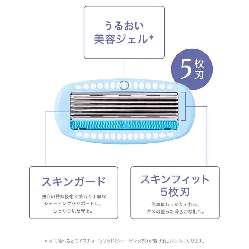 Schick Hydro Silk Holder (with Blade) for Trial