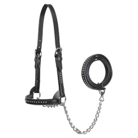 Derby Originals New and Improved Premium Show Spotted Flat Leather Cattle Show Halter with Matching Chain Lead