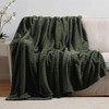 Nestl Green Throw Blanket for Couch - Cozy Warm Fuzzy