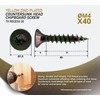 DOJA Barcelona Chipboard Screws with Torx Bit | 100 Wood