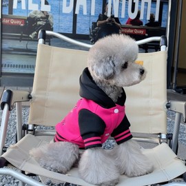 Dog Hoodie Sweaters with Plush Fleece Soft Pullover Dog Jacket Letters Printed Dog Clothes Pet Warm Winter Cold Protective Coats for Cat Puppy Small Medium Large Dogs Boy Girls M Medium