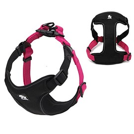 PETLAND Arnes para Perro, Pechera cómoda con Clips de Metal, Ergonómico y Seguro para Perros, Negro y Rosa, Grande