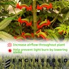 Grow Bundle Starter Kit
