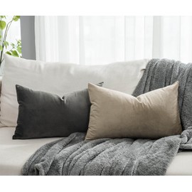 QUAFOO Stone Decorative Lumbar Velvet Throw Pillow Covers 16x24 inch Set of 2 with Zipper Luxury Soft Solid Rectangle Cushion Covers Case for Sofa Couch Bed Living Room