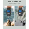 MEIYA Fish Scale 110lb/50kg Digital Fishing Scale with Backlit LCD,