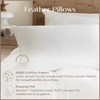 IHG Touch of Down Pillow Found in Holiday Inn Express,
