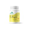 Wild Salmon Collagen by Provita Nutrition (Canadian Made) 90 Capsules