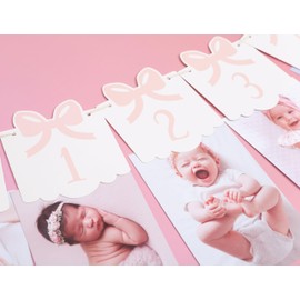 12 Month Bow Photo Banner - Milestone Bow Banner, Newborn To 12 Months, 1st Birthday Photo Banner For Baby From Newborn To 12 Months