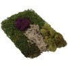 SuperMoss (23310) Moss Mix - Best Sellers, 80.75 Cubic Inch