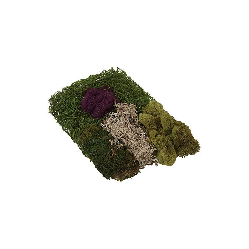 SuperMoss (23310) Moss Mix - Best Sellers, 80.75 Cubic Inch