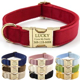 PETDURO Collar para Perro Personalizado de Terciopelo Suave, con Nombre y teléfono en Hebilla metálica. para Perros medianos y Grandes. Correa, moño, 