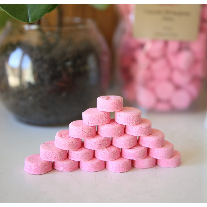Kauffman Orchards Canada Wintergreen Mints, Pink Candy Lozenges, 14 Ounce