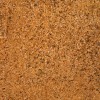 Fire and Smoke Honey Garlic BBQ Rub Seasoning Dry Mix