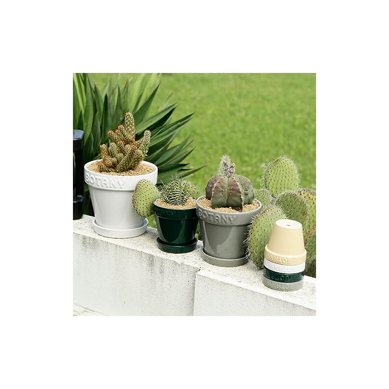 Dulton Botany Pot 4 Beige Embossed Logo and Earth Color