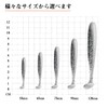 Worm 4.8 Inch Aging Lures 120mm Flounder Lures Worm Set