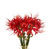XIZHI XIZHI 5 Stems Artificial Spider Lily Flowers 23.6 Inches