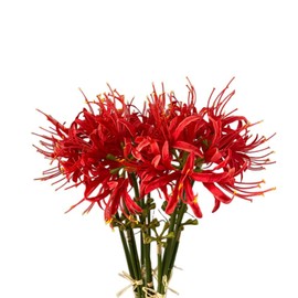 XIZHI XIZHI 5 Stems Artificial Spider Lily Flowers 23.6 Inches Lycoris Bulbs Spider Lilies Artificial Flowers with Long Stem Real Touch for Photography Hotel Garden Decoration (Red)