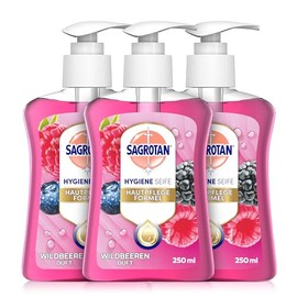 Sagrotan Hand Soap Blackberry and Forest Fruits – Hygienic Liquid Soap - 3 x 250ml Soap Dispenser