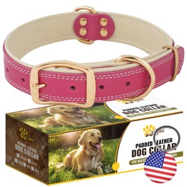 ADITYNA - Heavy-Duty Premium Pink Leather Dog Collar for Large Dogs - Padded with Soft Genuine Leather for a Cozy Feel - Girl Dog Collar (Pink - Gold Colored Buckle, Large: Fit 17-23" Neck)