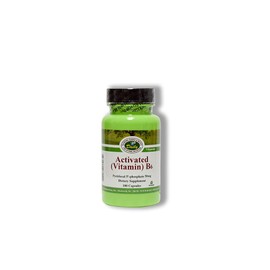 Daily Manufacturing -Activated Vitamin B6 |100 Veggie Capsules