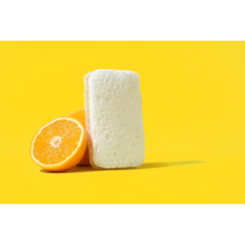 SEEP Eco Sponges Washing Up - 12 Pack Multipack Compostable