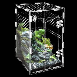 Acrylic Jumping Spider Enclosure Box: 10x6x6 Inch Transparent Habitat with Ventilation Holes, Escape-Proof Terrarium for Reptile Pet, Easy to Clean & Observe
