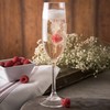Carlisle FoodService Products Alibi Champagne Flute for Restaurants, Catering, Kitchens,