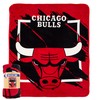 The Northwest Company 1NBA/05903/0004/RET: Micro Raschel Throw Dimensional - Bulls