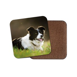 1 x Cute Border Collie Drinks Coaster - Sheep Dog Farm Farmer Puppy Fun #8614